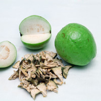 Dried Guava (Psidium guava)